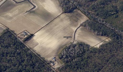 Photo #3 of 1901 Grainger Rd., Aynor, SC 21.5 acres