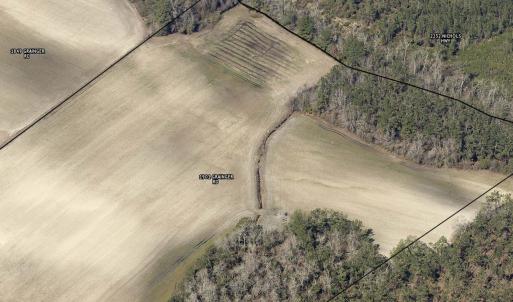 Photo #2 of 1901 Grainger Rd., Aynor, SC 21.5 acres