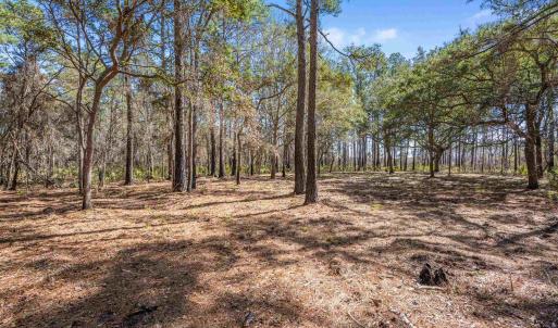 Photo #14 of 2630 Vanderbilt Blvd., Pawleys Island, SC 3.2 acres