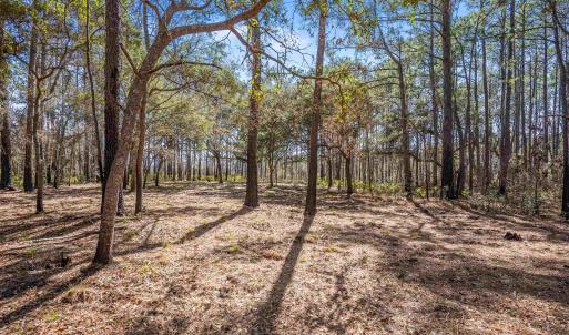 Photo #15 of 2630 Vanderbilt Blvd., Pawleys Island, SC 3.2 acres
