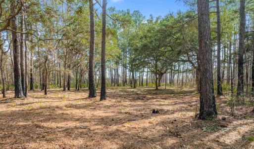 Photo #5 of 2630 Vanderbilt Blvd., Pawleys Island, SC 3.2 acres