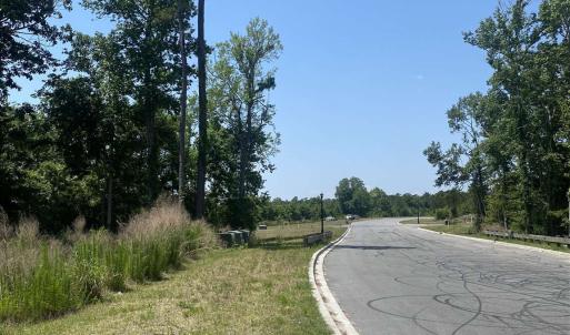 Photo #8 of TBD Water Tower Rd., Longs, SC 167.1 acres