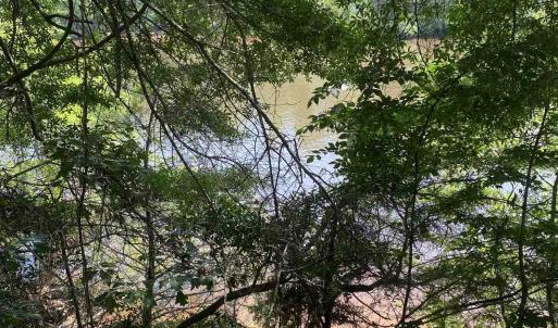 Photo #17 of TBD Water Tower Rd., Longs, SC 167.1 acres