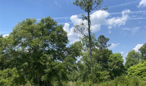 Photo #15 of TBD Water Tower Rd., Longs, SC 167.1 acres