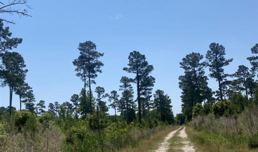 Photo #10 of TBD Water Tower Rd., Longs, SC 167.1 acres