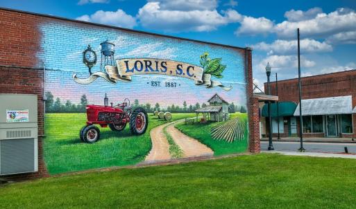 Photo #5 of TBD Fries Bay Rd., Loris, SC 30.0 acres