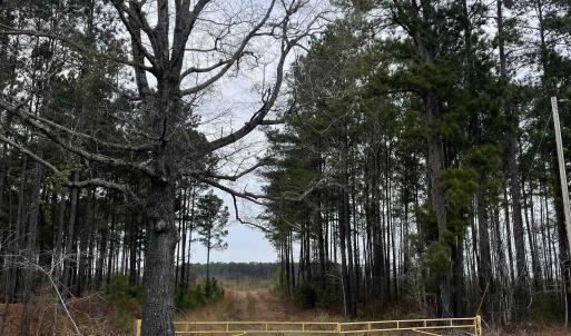 Photo #1 of TBD Rocky Ford Rd., Salters, SC 120.0 acres