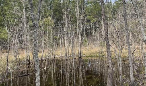 Photo #5 of TBD Rocky Ford Rd., Salters, SC 120.0 acres