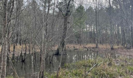 Photo #3 of TBD Rocky Ford Rd., Salters, SC 120.0 acres