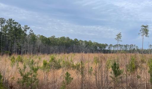 Photo #2 of TBD Rocky Ford Rd., Salters, SC 120.0 acres