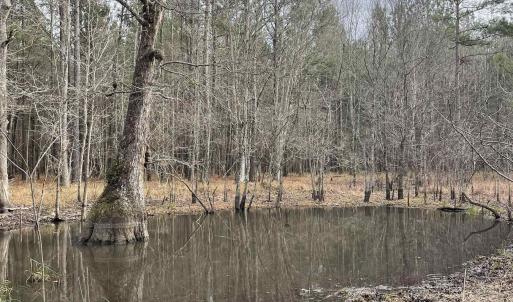 Photo #1 of TBD Rocky Ford Rd., Salters, SC 120.0 acres