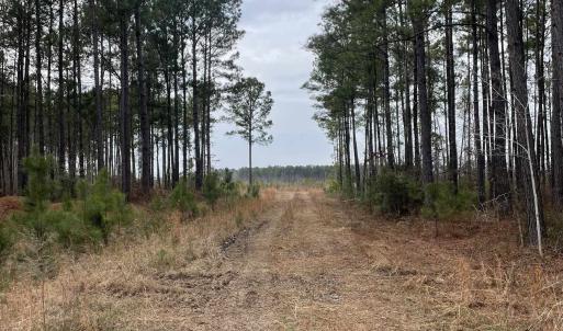 Photo #5 of TBD Rocky Ford Rd., Salters, SC 120.0 acres