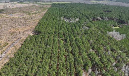 Photo #6 of TBD Rocky Ford Rd., Salters, SC 120.0 acres