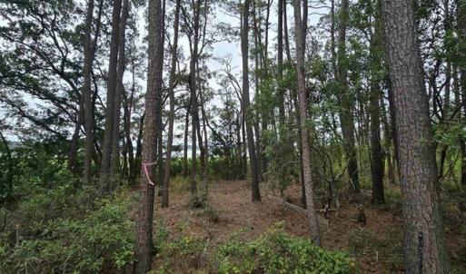 Photo #4 of TBD Gillette Pl., Murrells Inlet, SC 0.7 acres