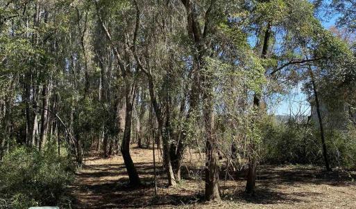 Photo #4 of TBD Gillette Pl., Murrells Inlet, SC 0.7 acres