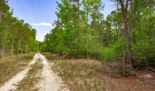 Photo #16 of Sand Plant Rd., Nichols, SC 66.0 acres