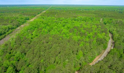 Photo #22 of Sand Plant Rd., Nichols, SC 66.0 acres