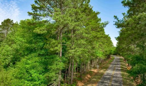 Photo #24 of Sand Plant Rd., Nichols, SC 66.0 acres