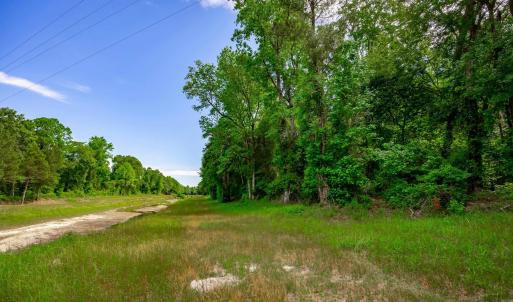 Photo #18 of Sand Plant Rd., Nichols, SC 66.0 acres