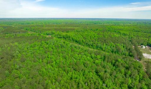 Photo #8 of Sand Plant Rd., Nichols, SC 66.0 acres
