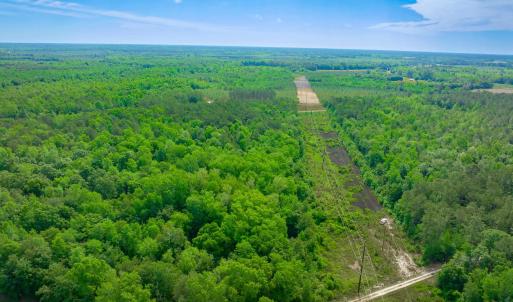 Photo #3 of Sand Plant Rd., Nichols, SC 66.0 acres