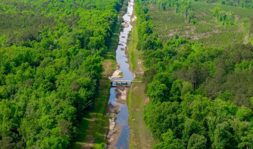 Photo #19 of Sand Plant Rd., Nichols, SC 66.0 acres