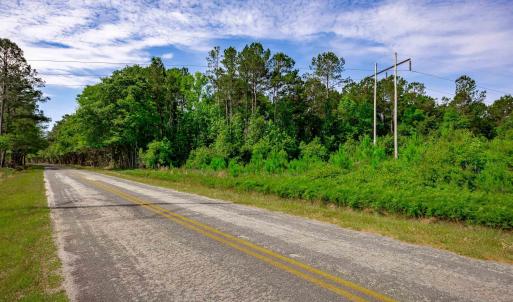 Photo #10 of Sand Plant Rd., Nichols, SC 66.0 acres