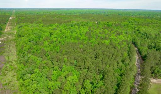 Photo #23 of Sand Plant Rd., Nichols, SC 66.0 acres