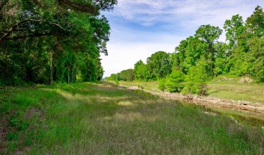 Photo #11 of Sand Plant Rd., Nichols, SC 66.0 acres