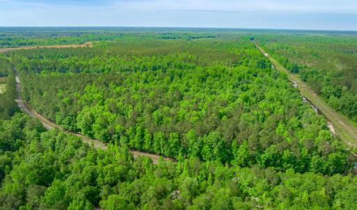 Photo #5 of Sand Plant Rd., Nichols, SC 66.0 acres