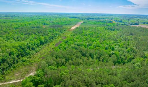 Photo #9 of Sand Plant Rd., Nichols, SC 66.0 acres