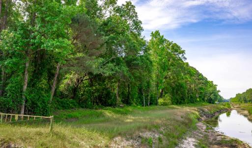 Photo #13 of Sand Plant Rd., Nichols, SC 66.0 acres