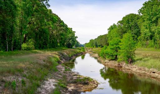 Photo #12 of Sand Plant Rd., Nichols, SC 66.0 acres