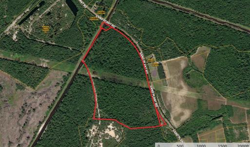 Photo #1 of Sand Plant Rd., Nichols, SC 66.0 acres