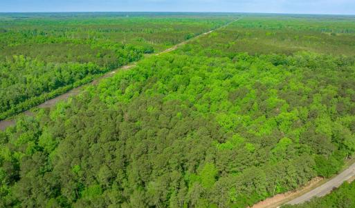 Photo #21 of Sand Plant Rd., Nichols, SC 66.0 acres