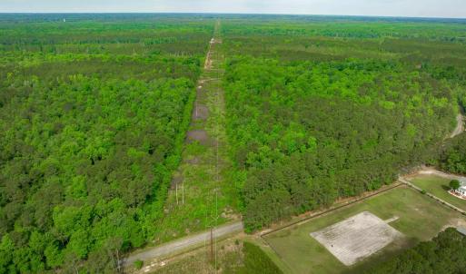 Photo #6 of Sand Plant Rd., Nichols, SC 66.0 acres