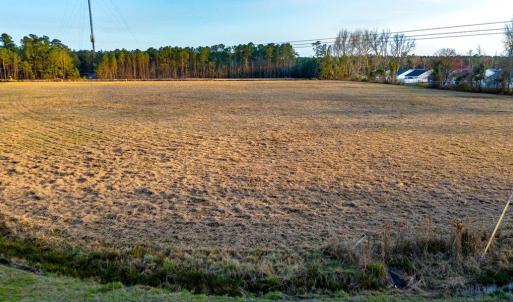 Photo #10 of 8.7 Acs Night Owl Ln., Conway, SC 8.7 acres