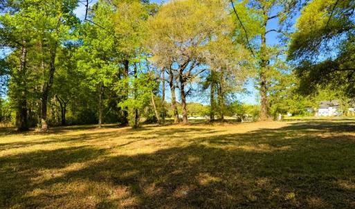 Photo #18 of 9985 Highway 17 North, McClellanville, SC 4.7 acres