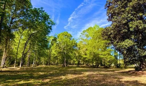 Photo #13 of 9985 Highway 17 North, McClellanville, SC 4.7 acres