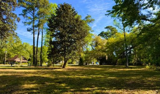 Photo #14 of 9985 Highway 17 North, McClellanville, SC 4.7 acres