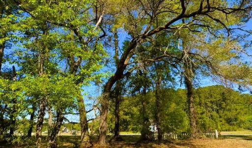Photo #22 of 9985 Highway 17 North, McClellanville, SC 4.7 acres