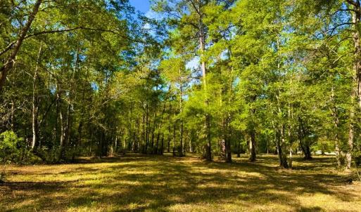 Photo #8 of 9985 Highway 17 North, McClellanville, SC 4.7 acres