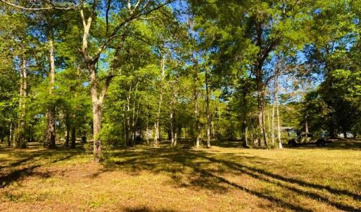 Photo #16 of 9985 Highway 17 North, McClellanville, SC 4.7 acres