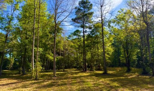 Photo #7 of 9985 Highway 17 North, McClellanville, SC 4.7 acres