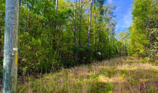 Photo #15 of 9985 Highway 17 North, McClellanville, SC 4.7 acres