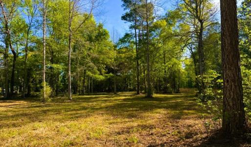 Photo #17 of 9985 Highway 17 North, McClellanville, SC 4.7 acres