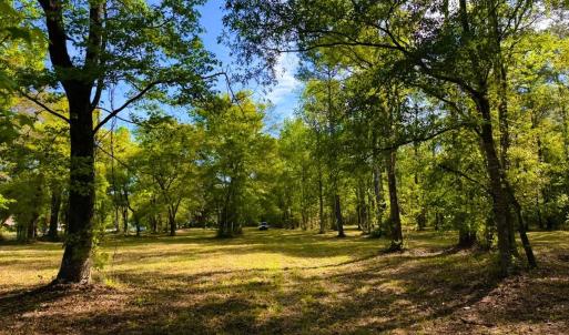Photo #24 of 9985 Highway 17 North, McClellanville, SC 4.7 acres