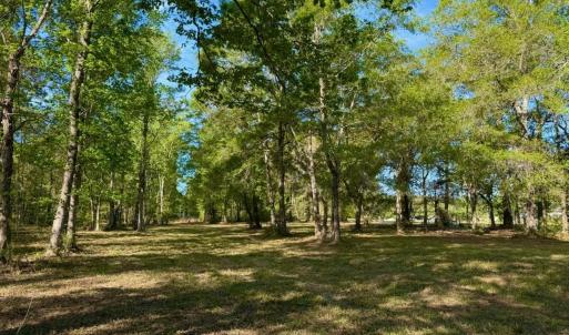Photo #12 of 9985 Highway 17 North, McClellanville, SC 4.7 acres