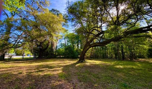 Photo #4 of 9985 Highway 17 North, McClellanville, SC 4.7 acres