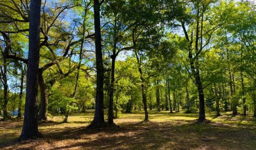Photo #25 of 9985 Highway 17 North, McClellanville, SC 4.7 acres